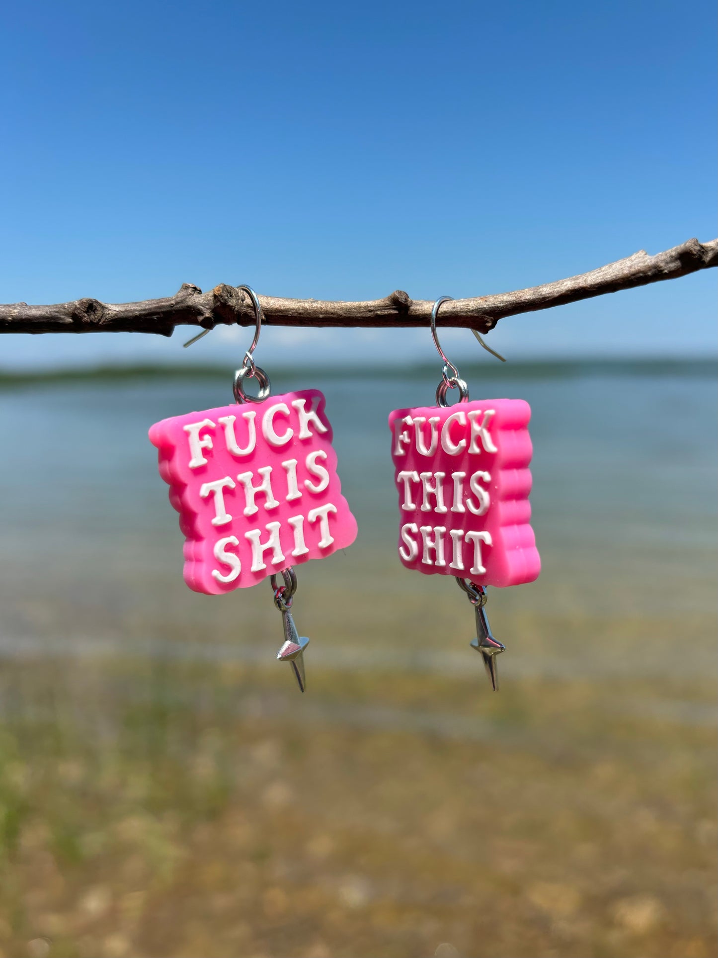 F*** This S*** Sparkle Charm Dangle Earrings