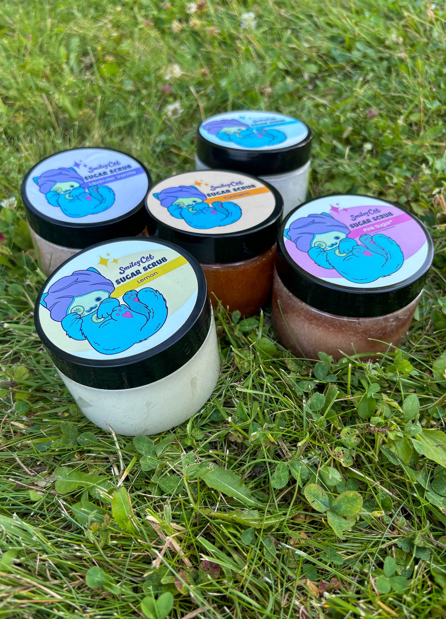 Whipped Sugar Body Scrub: Pink Sugar, Unscented, Lavender Vanilla, Lemon, Turmeric