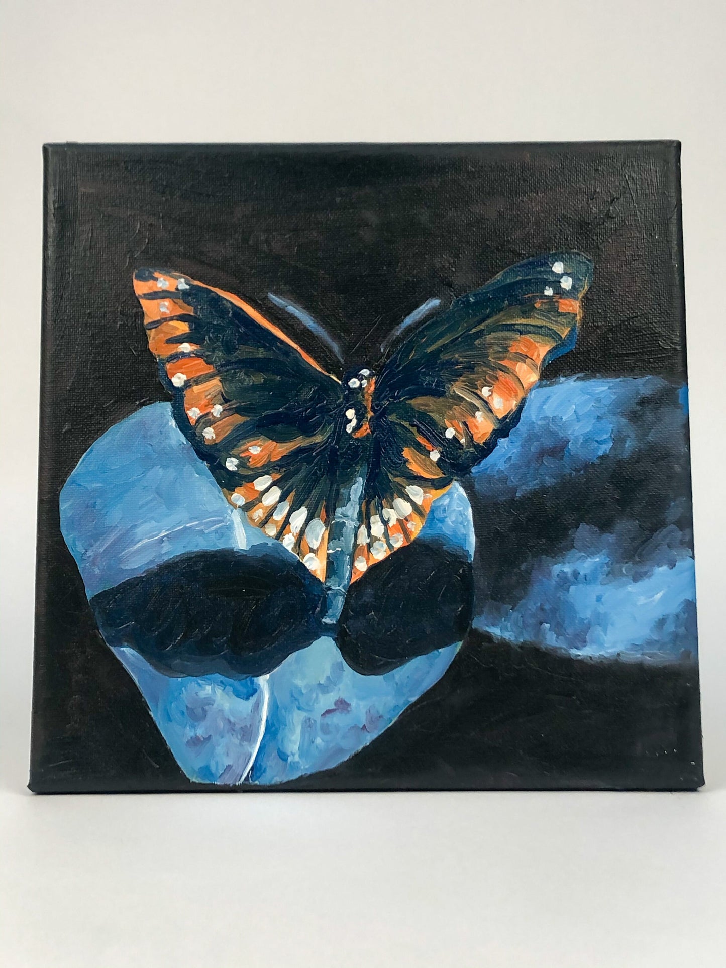 Original Moth Painting on Canvas